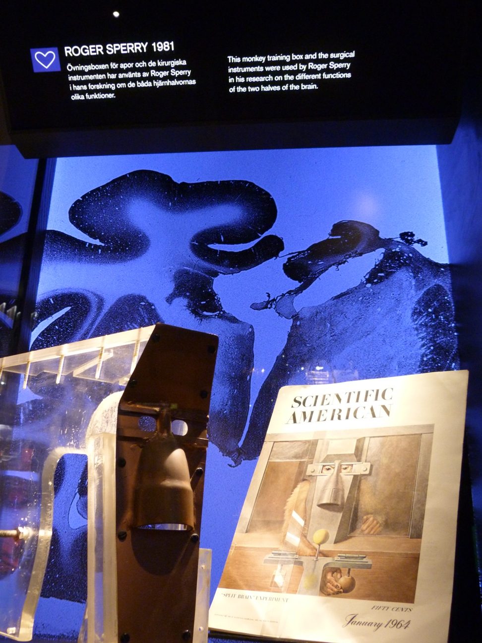 Monkey training box, Nobel Museum, Stockholm by Estefania Etcheves.JPG